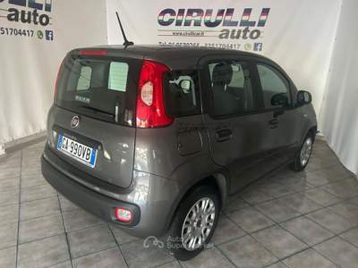 Fiat Panda 1.2 69 CV EASY Grigio usata San Cesareo