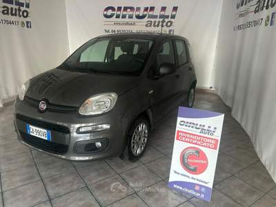 Fiat Panda 1.2 69 CV EASY Grigio usata San Cesareo