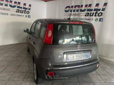 Fiat Panda 1.2 69 CV EASY Grigio usata San Cesareo