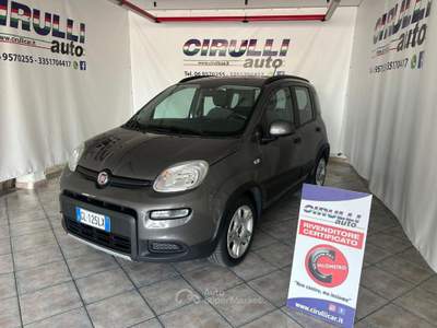 Fiat Panda 1.2 EasyPower City Life Grigio usata San Cesareo