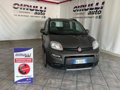 Fiat Panda 1.2 EasyPower City Life Grigio usata San Cesareo