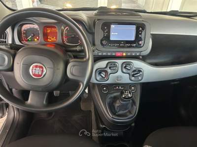 Fiat Panda 1.2 EasyPower City Life Grigio usata San Cesareo