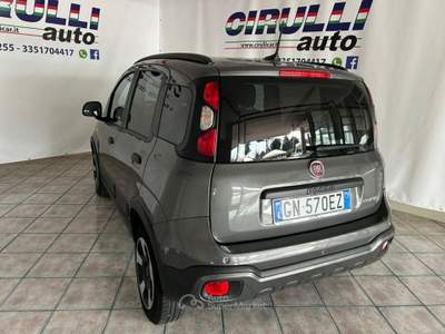 Fiat Panda 1.0 FireFly S&S Hybrid Grigio usata San Cesareo