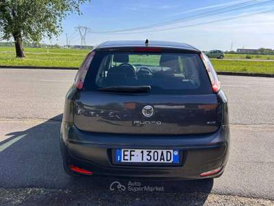 Fiat Punto Evo Punto III 2010 Evo 5p 1.2 Dynamic 65cv Grigio usata Inzago