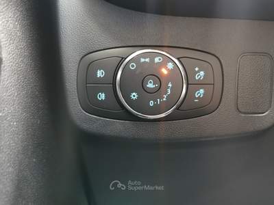 Ford Puma Hybrid 125cv Blu/Azzurro usata Cercola