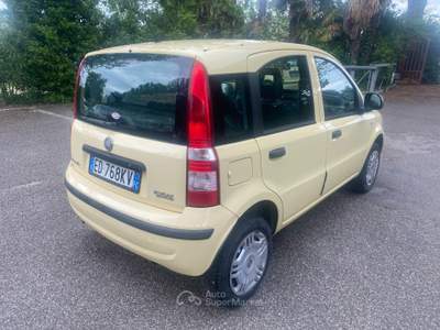 Fiat Panda Dynamic Natural Power Giallo usata Ravenna