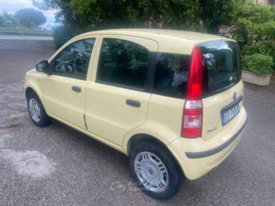 Fiat Panda Dynamic Natural Power Giallo usata Ravenna