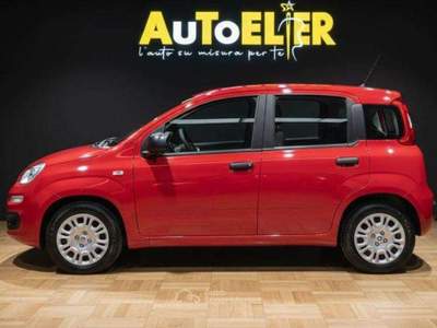 Fiat Panda Pandina 1.0 hybrid Icon 5 POSTI Rosso usata Moncalieri