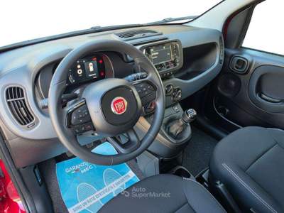 Fiat Panda Pandina 1.0 hybrid Icon 5 POSTI Rosso usata Moncalieri