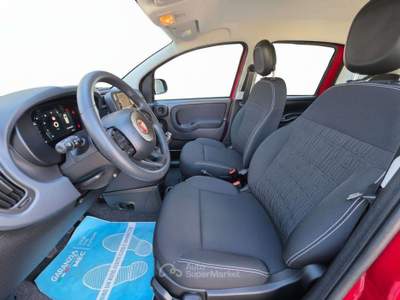 Fiat Panda Pandina 1.0 hybrid Icon 5 POSTI Rosso usata Moncalieri
