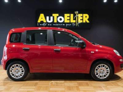Fiat Panda Pandina 1.0 hybrid Icon 5 POSTI Rosso usata Moncalieri