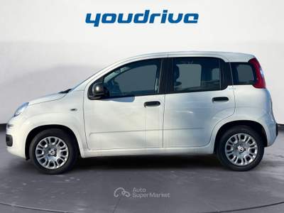 Fiat Panda 1.0 FireFly S&amp;S Hybrid Pop KM0 Bianco usata Nola