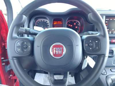 Fiat Panda Panda III 2021 Cross 1.0 firefly hybrid (Red) s Rosso usata Avellino