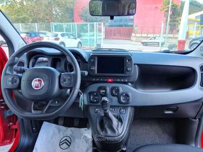 Fiat Panda Panda III 2021 Cross 1.0 firefly hybrid (Red) s Rosso usata Avellino