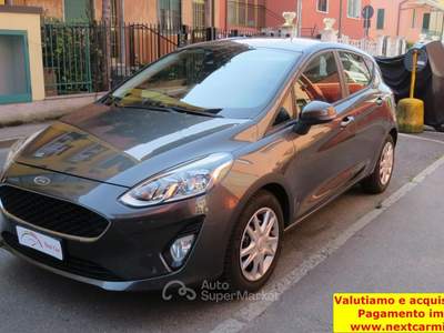 Ford Fiesta Fiesta 5p 1.5 tdci Plus 85cv my18 Grigio usata Buccinasco