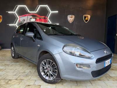 Fiat Punto Fiat Punto Lounge benzina NEOPATENTATI Grigio usata Telgate