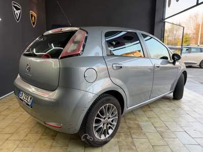 Fiat Punto Fiat Punto Lounge benzina NEOPATENTATI Grigio usata Telgate
