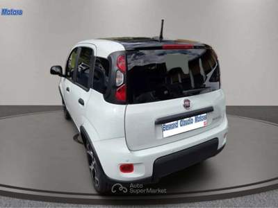 Fiat Panda Panda III 2021 1.0 firefly hybrid Sport s Bianco usata San Giovanni di Fassa
