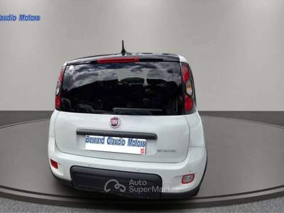 Fiat Panda Panda III 2021 1.0 firefly hybrid Sport s Bianco usata San Giovanni di Fassa