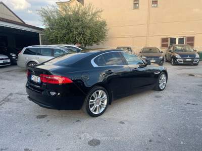 Jaguar XE null usata Bologna