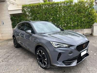 Cupra Formentor 2.0 TDI 150 4Drive DSG Grigio usata Alberobello