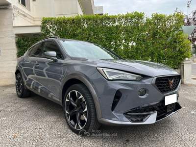 Cupra Formentor 2.0 TDI 150 4Drive DSG Grigio usata Alberobello
