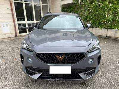 Cupra Formentor 2.0 TDI 150 4Drive DSG Grigio usata Alberobello