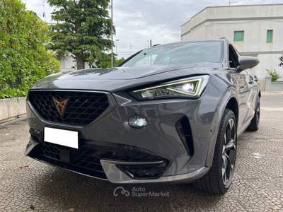 Cupra Formentor 2.0 TDI 150 4Drive DSG Grigio usata Alberobello
