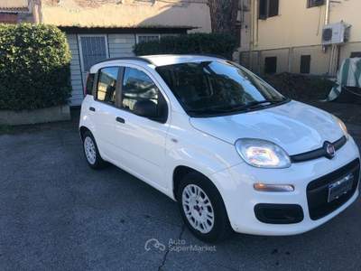 Fiat Panda 1.2 Easy Bianco usata Firenze