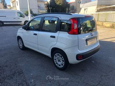Fiat Panda 1.2 Easy Bianco usata Firenze