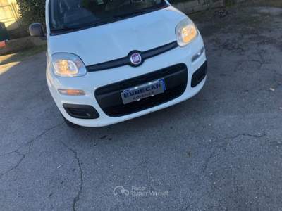 Fiat Panda 1.2 Easy Bianco usata Firenze