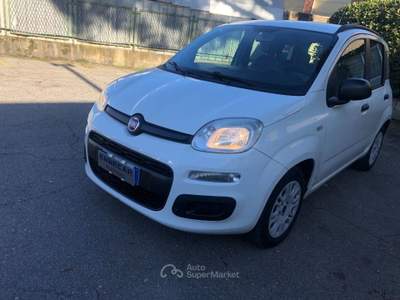 Fiat Panda 1.2 Easy Bianco usata Firenze