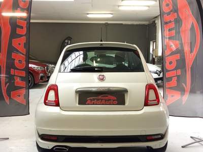 Fiat 500 95 CV Collezione Bianco usata Torino