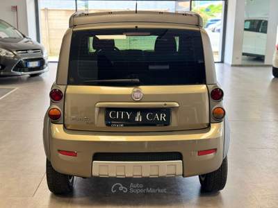 Fiat Panda PANDA CROSS 4X4 75CV Bronzo usata Verrone