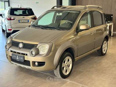Fiat Panda PANDA CROSS 4X4 75CV Bronzo usata Verrone
