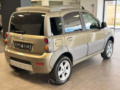 Fiat Panda PANDA CROSS 4X4 75CV Bronzo usata Verrone
