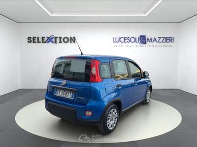 Fiat Panda  my24 1.0 70cv hybrid  Blu/Azzurro usata Ancona