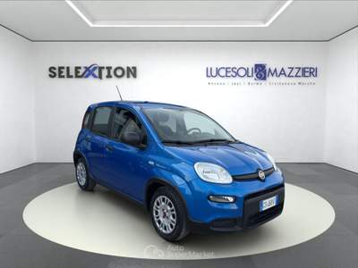 Fiat Panda  my24 1.0 70cv hybrid  Blu/Azzurro usata Ancona
