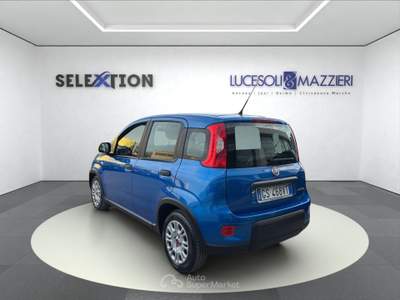 Fiat Panda  my24 1.0 70cv hybrid  Blu/Azzurro usata Ancona