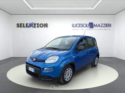 Fiat Panda  my24 1.0 70cv hybrid  Blu/Azzurro usata Ancona