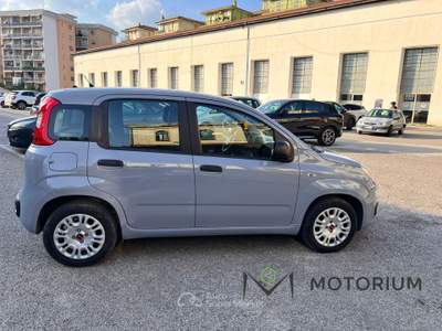Fiat Panda 1.0 firefly hybrid s&amp;s 70cv 5p.ti Grigio usata Pontecagnano Faiano