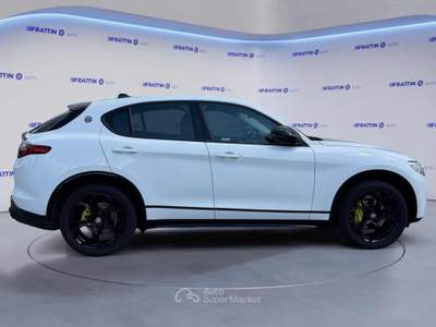 Alfa Romeo Stelvio Stelvio 2.2 Turbodiesel 180 Cv At8 Q4 Super Bianco usata Cassola