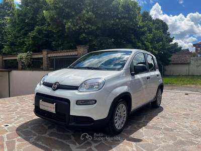 Fiat Panda Panda 1.0 firefly hybrid s Bianco usata Albano Laziale