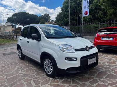 Fiat Panda Panda 1.0 firefly hybrid s Bianco usata Albano Laziale