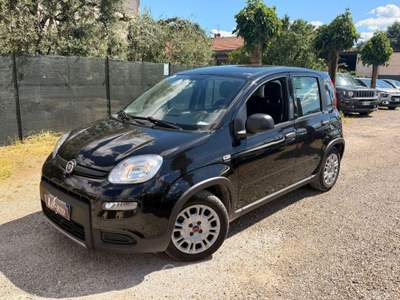 Fiat Panda 1.0 FireFly S&S Hybrid Nero usata Agliana