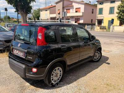 Fiat Panda 1.0 FireFly S&S Hybrid Nero usata Agliana