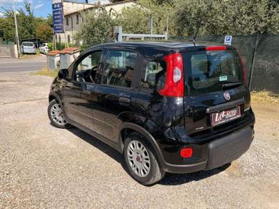 Fiat Panda 1.0 FireFly S&S Hybrid Nero usata Agliana