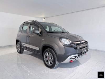 Fiat Panda 0.9 TwinAir Turbo S&S 4x4 Grigio usata San Giuseppe Vesuviano