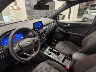 Ford Kuga Kuga 2.0 EcoBlue 120 CV aut. AWD ST-Line usata Collegno