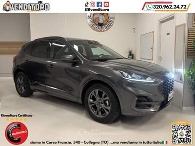 Ford Kuga Kuga 2.0 EcoBlue 120 CV aut. AWD ST-Line usata Collegno